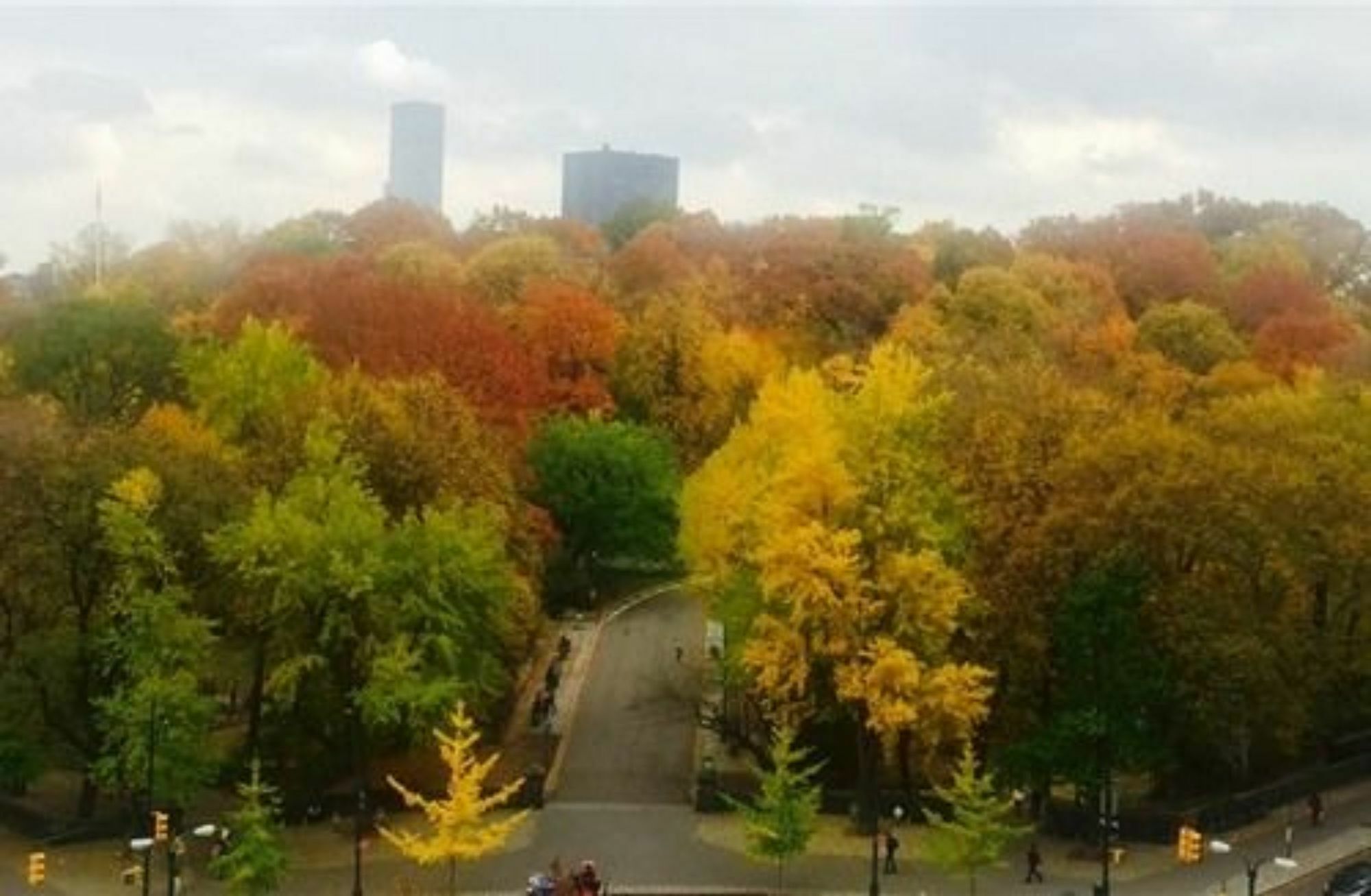 Central Park View B&B New York Exterior foto
