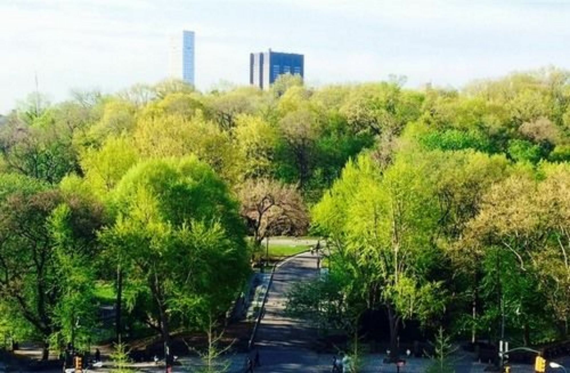 Central Park View B&B New York Exterior foto